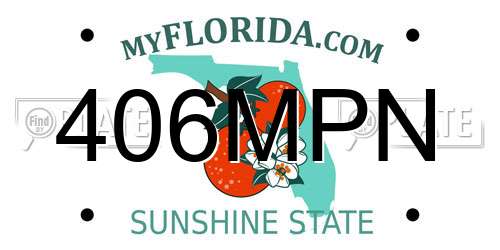406MPN Florida License Plate