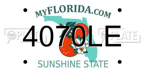 4070LE Florida License Plate