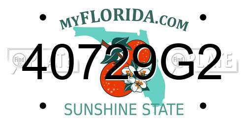 40729G2 Florida License Plate