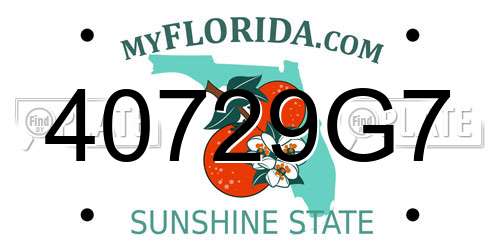 40729G7 Florida License Plate