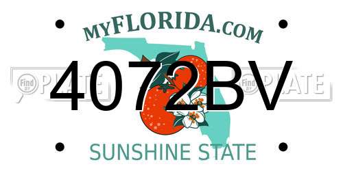 4072BV Florida License Plate