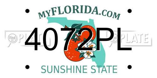 4072PL Florida License Plate