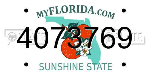 4073769 Florida License Plate