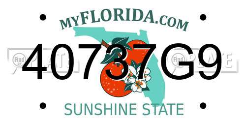 40737G9 Florida License Plate