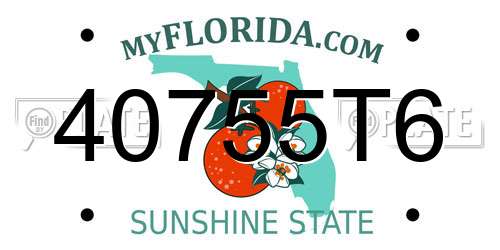 40755T6 Florida License Plate
