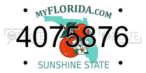 4075876 Florida License Plate