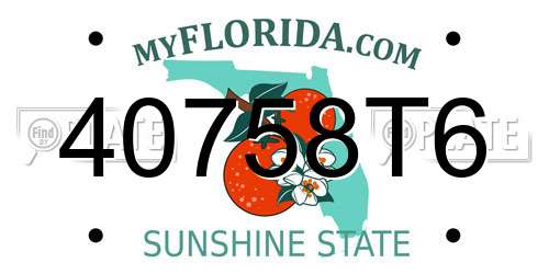 40758T6 Florida License Plate
