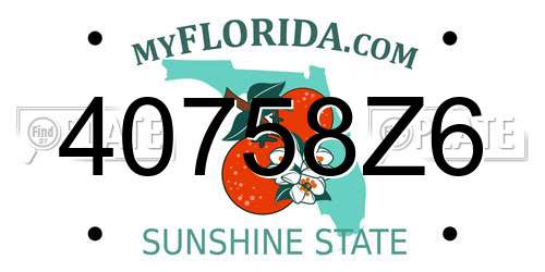 40758Z6 Florida License Plate