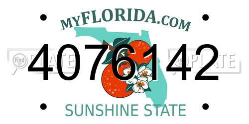 4076142 Florida License Plate