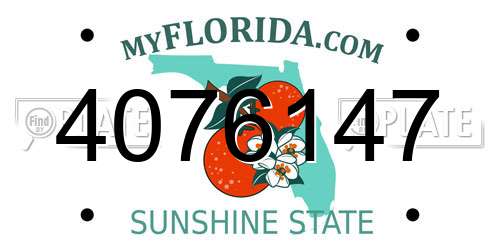 4076147 Florida License Plate