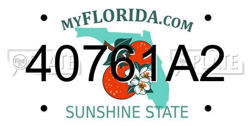 40761A2 Florida License Plate