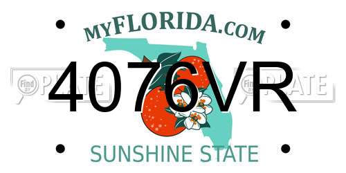 4076VR Florida License Plate