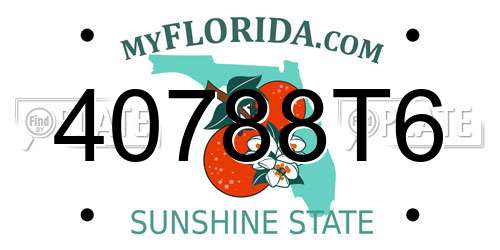 40788T6 Florida License Plate