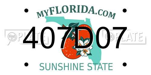 407D07 Florida License Plate