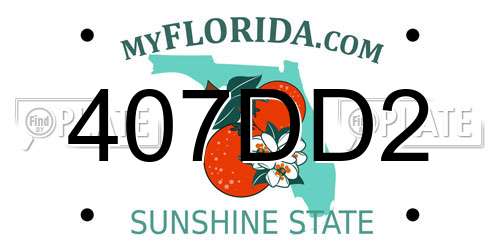 407DD2 Florida License Plate