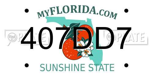 407DD7 Florida License Plate