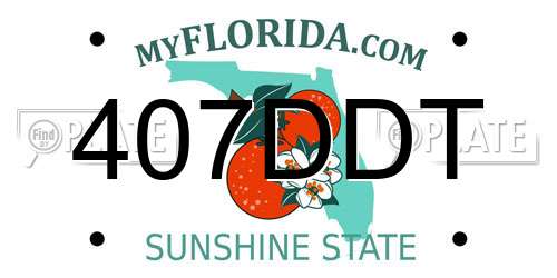 407DDT Florida License Plate