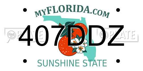 407DDZ Florida License Plate