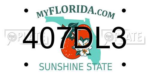 407DL3 Florida License Plate