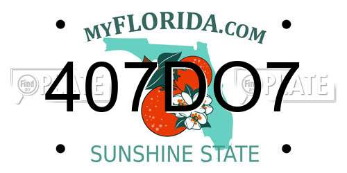 407DO7 Florida License Plate