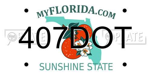 407DOT Florida License Plate
