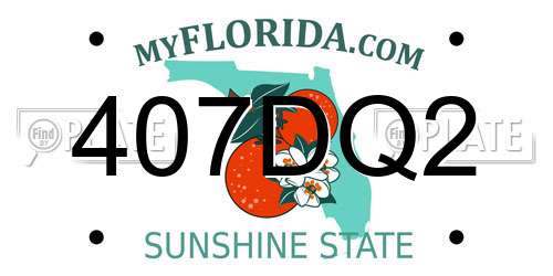 407DQ2 Florida License Plate