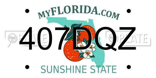 407DQZ Florida License Plate
