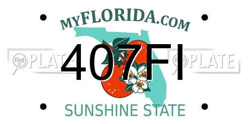 407FI Florida License Plate