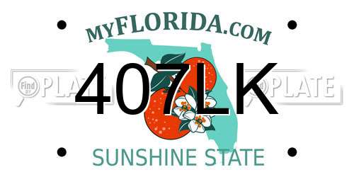 407LK Florida License Plate