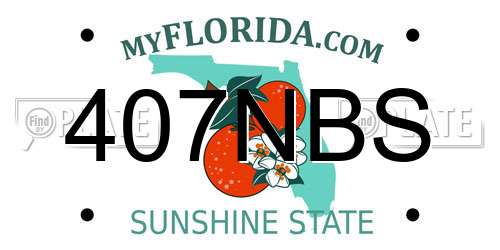 407NBS Florida License Plate