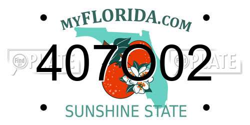 407O02 Florida License Plate