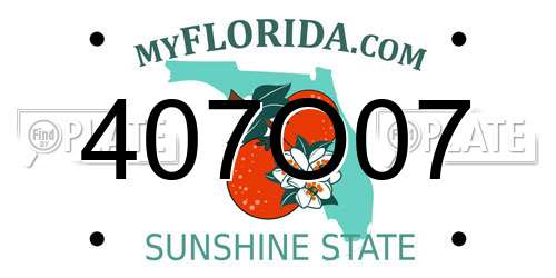 407O07 Florida License Plate