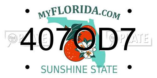 407OD7 Florida License Plate