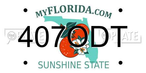 407ODT Florida License Plate