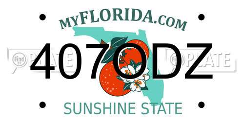 407ODZ Florida License Plate