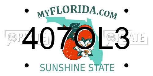 407OL3 Florida License Plate
