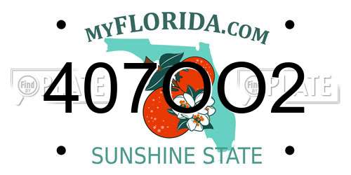 407OO2 Florida License Plate