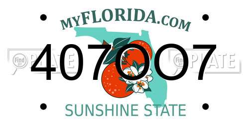 407OO7 Florida License Plate