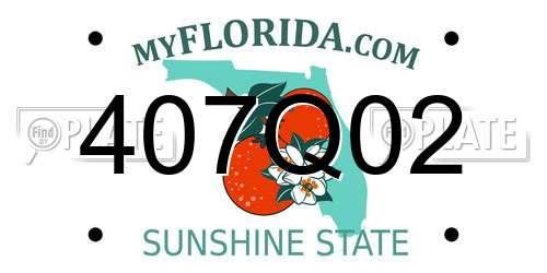 407Q02 Florida License Plate