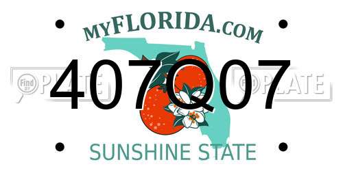 407Q07 Florida License Plate
