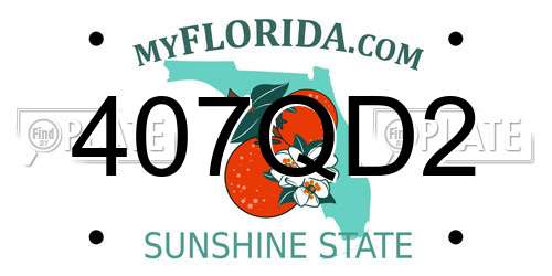 407QD2 Florida License Plate