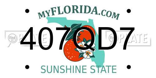 407QD7 Florida License Plate