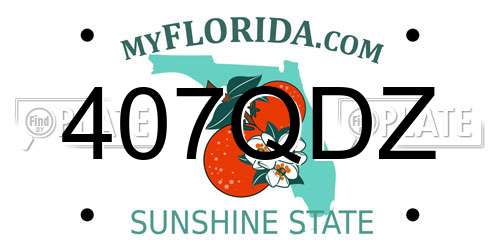 407QDZ Florida License Plate