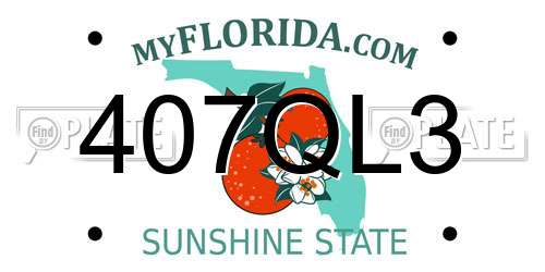 407QL3 Florida License Plate