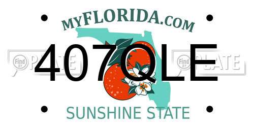 407QLE Florida License Plate