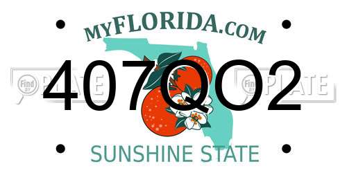407QO2 Florida License Plate