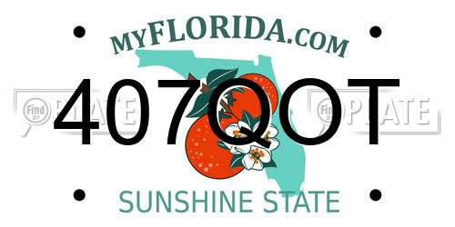 407QOT Florida License Plate