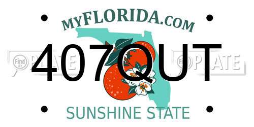 407QUT Florida License Plate