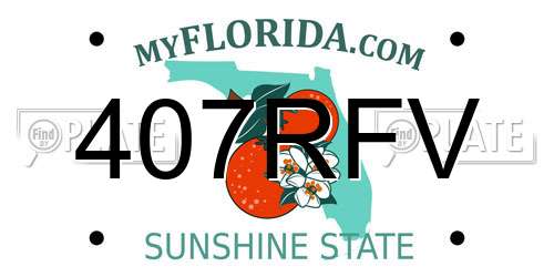 407RFV Florida License Plate