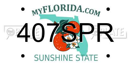 407SPR Florida License Plate